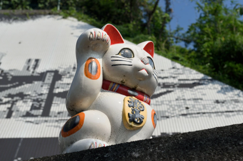 재패니즈 밥테일 고양이 (Japanese Bobtail) 성격 외모 특징 관리 팁